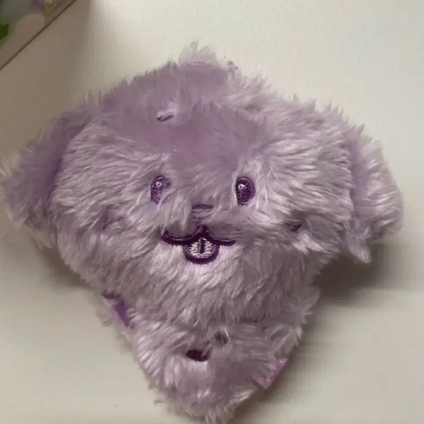 Nct wish 컬러 위시돌 댕트리버 보라