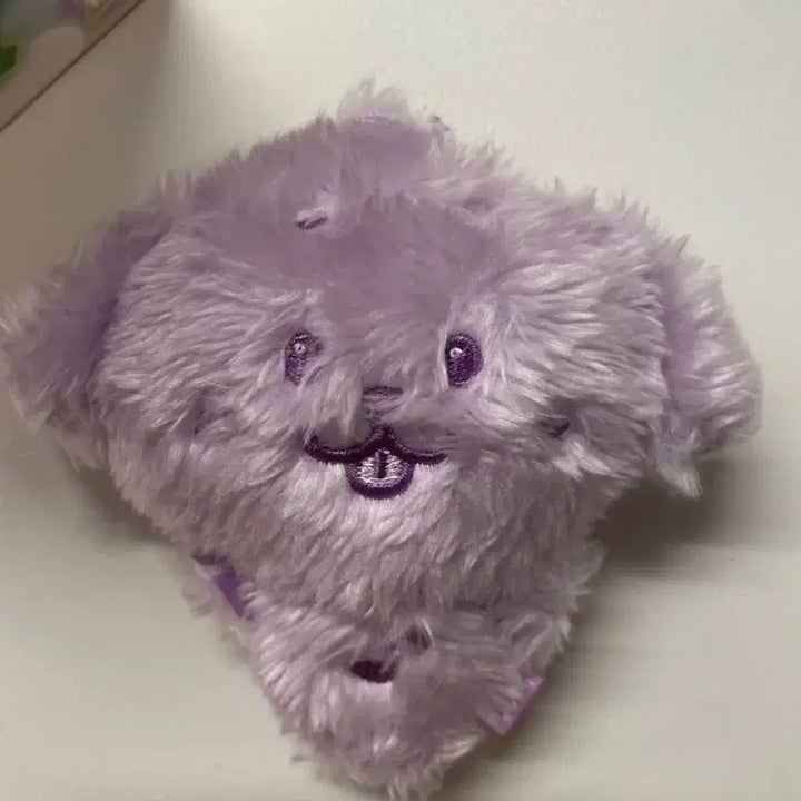 Nct wish 컬러 위시돌 댕트리버 보라