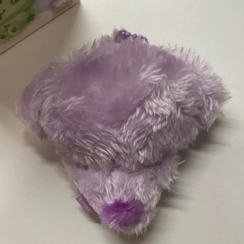 Nct wish 컬러 위시돌 댕트리버 보라