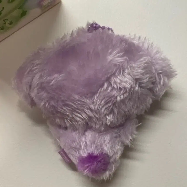 Nct wish 컬러 위시돌 댕트리버 보라