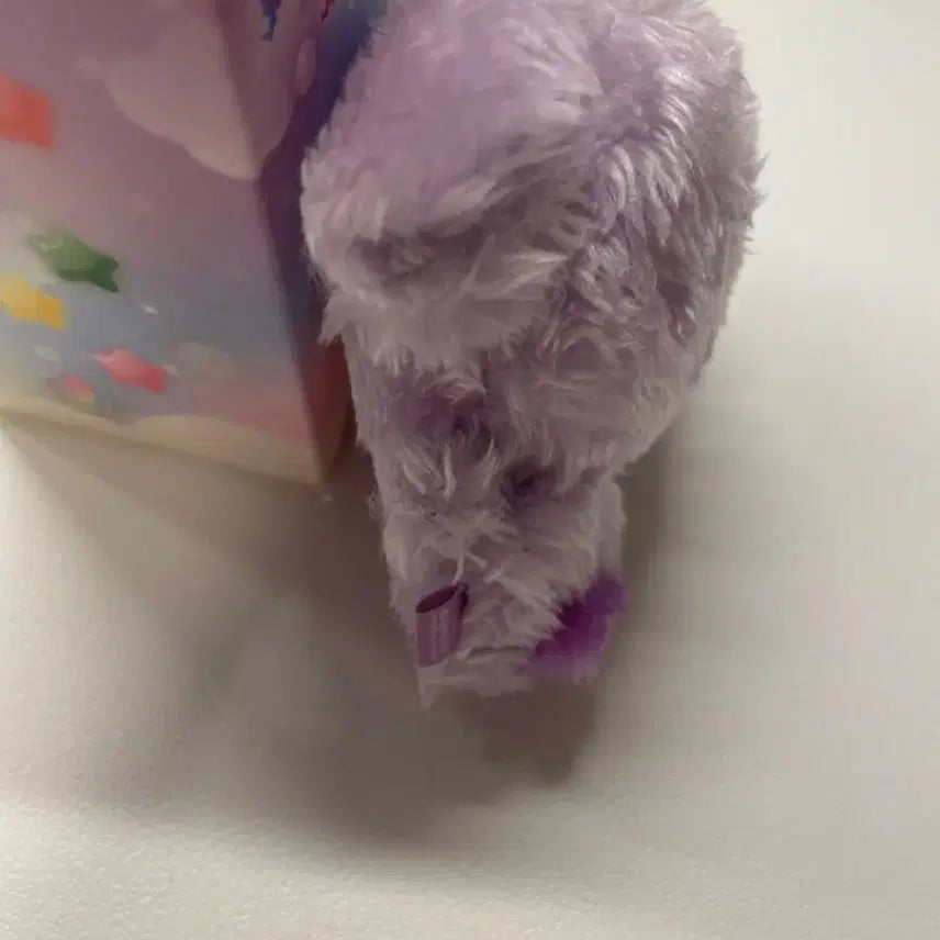 Nct wish 컬러 위시돌 댕트리버 보라