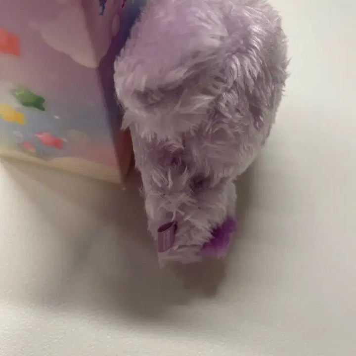 Nct wish 컬러 위시돌 댕트리버 보라