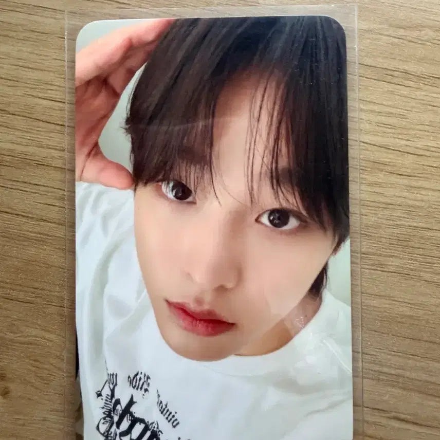 에버위시 리쿠 포카 입장 포카 엔시티 위시 리쿠 에버랜드