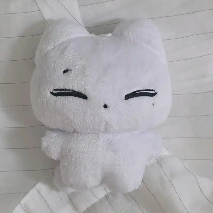 엔하이픈 선우 김선우 인형 양도 캣떠니