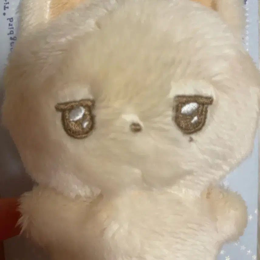 엔시티위시 위니멀즈 우시짱 유우시 인형 단순 전시