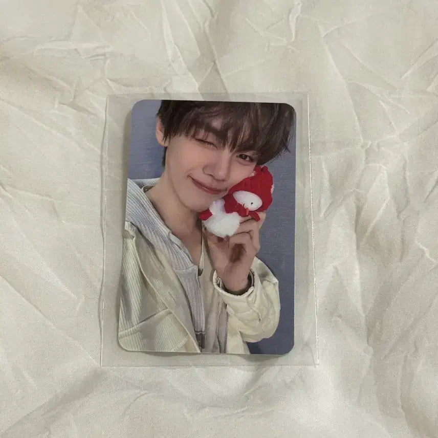 제베원 김규빈 가요대제전공방포카