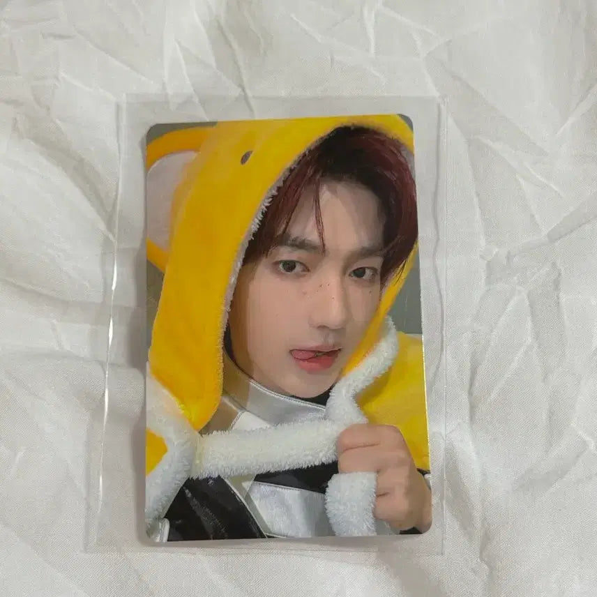 제베원 장하오 쿠알라룸푸르팬싸포카 뮤브미공포