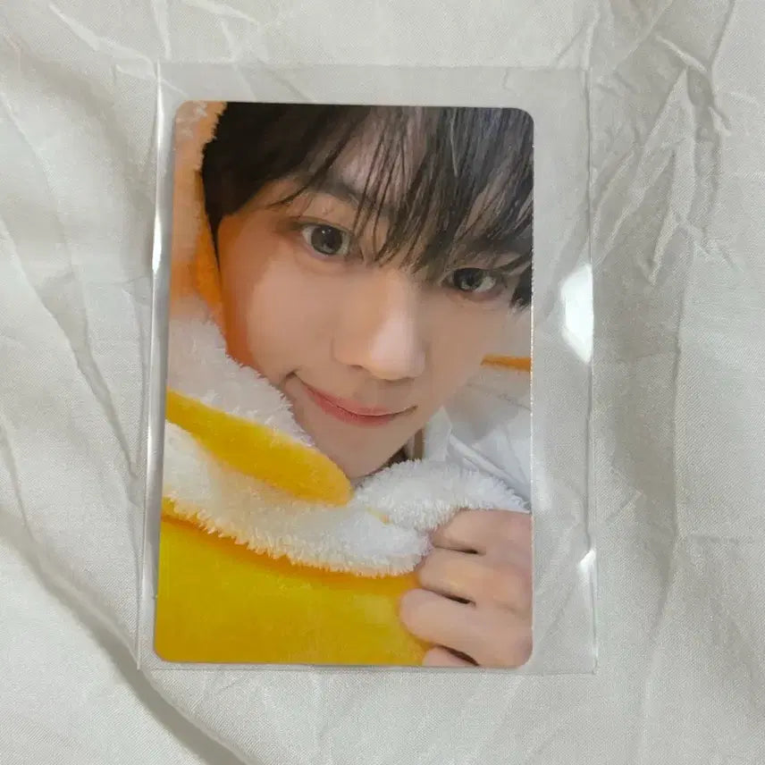 제베원 김규빈 쿠알라룸푸르팬싸포카 뮤브미공포