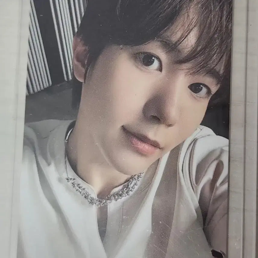 엔시티위시 컬러 쇼케이스 슴스 특전 포카 료 양도