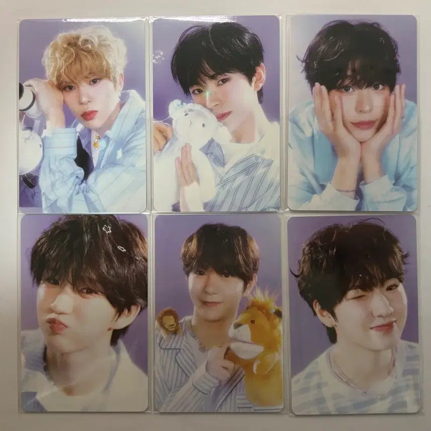 엔시티위시 시그 컨포 6종