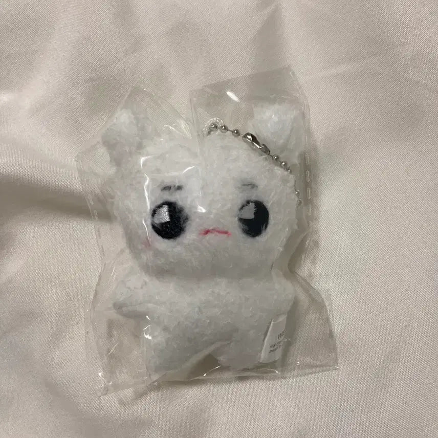 nct127 엔시티 127 태용 이태용 베베툥야 툥야