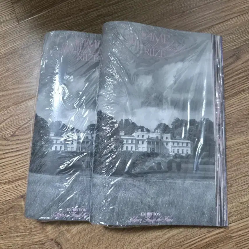 (미개봉) 라이즈 fame 페임 카탈로그 버전 2장