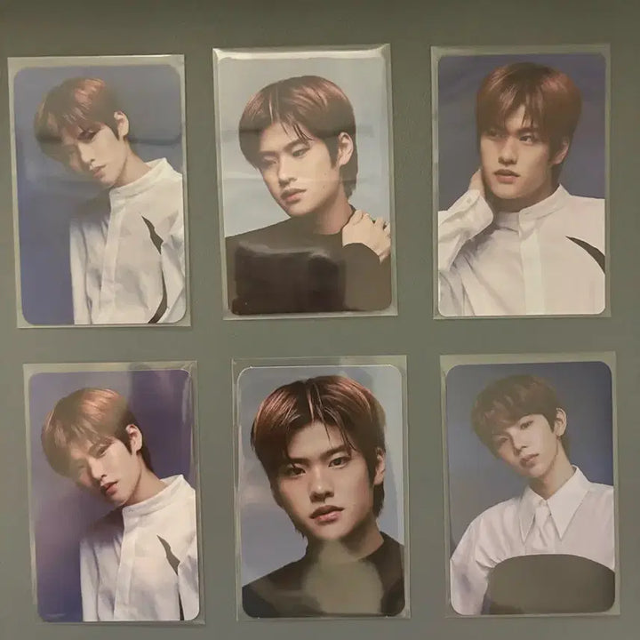 라이즈 2025 시그 시즌그리팅