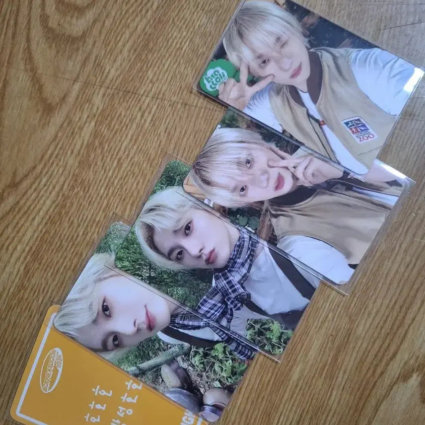 보넥도 성호 시그 포카 양도합니다