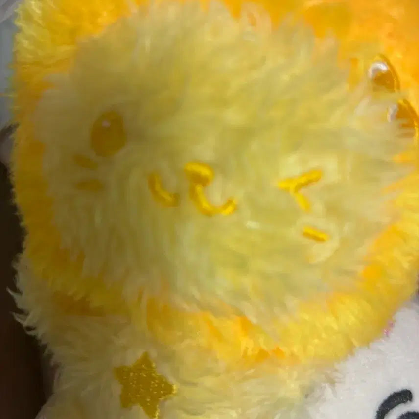 엔시티위시 유우시 버블냥