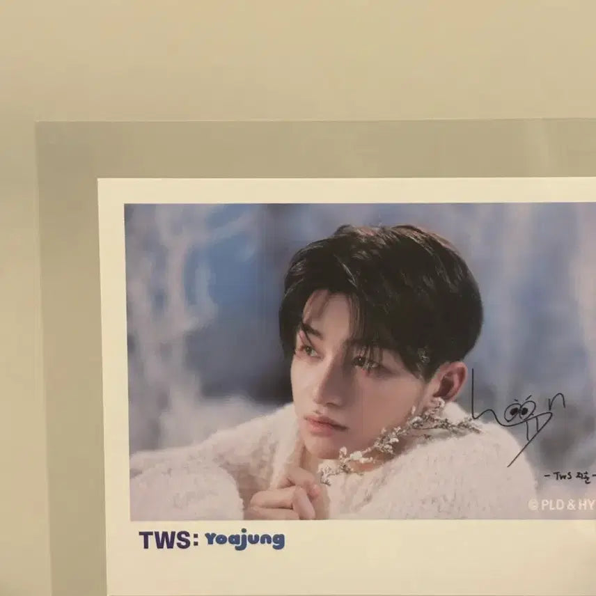 TWS 지훈 요아정 폴라로이드