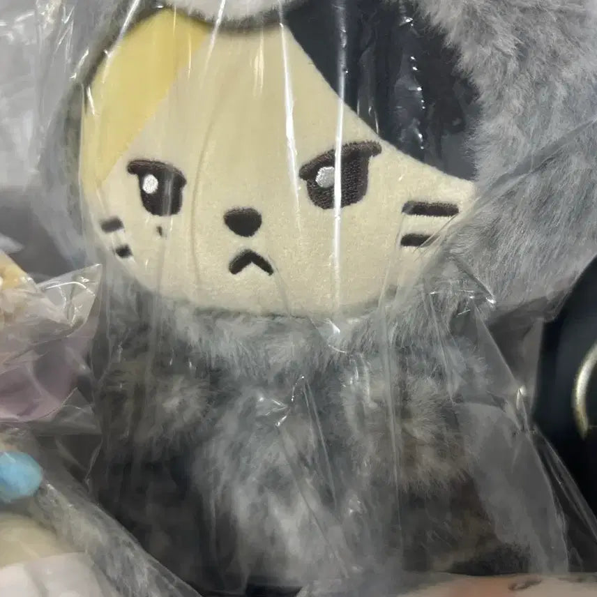 제로니 리니니 팝업 리키 인형 굿즈 제베원 제로베이스원 미개봉