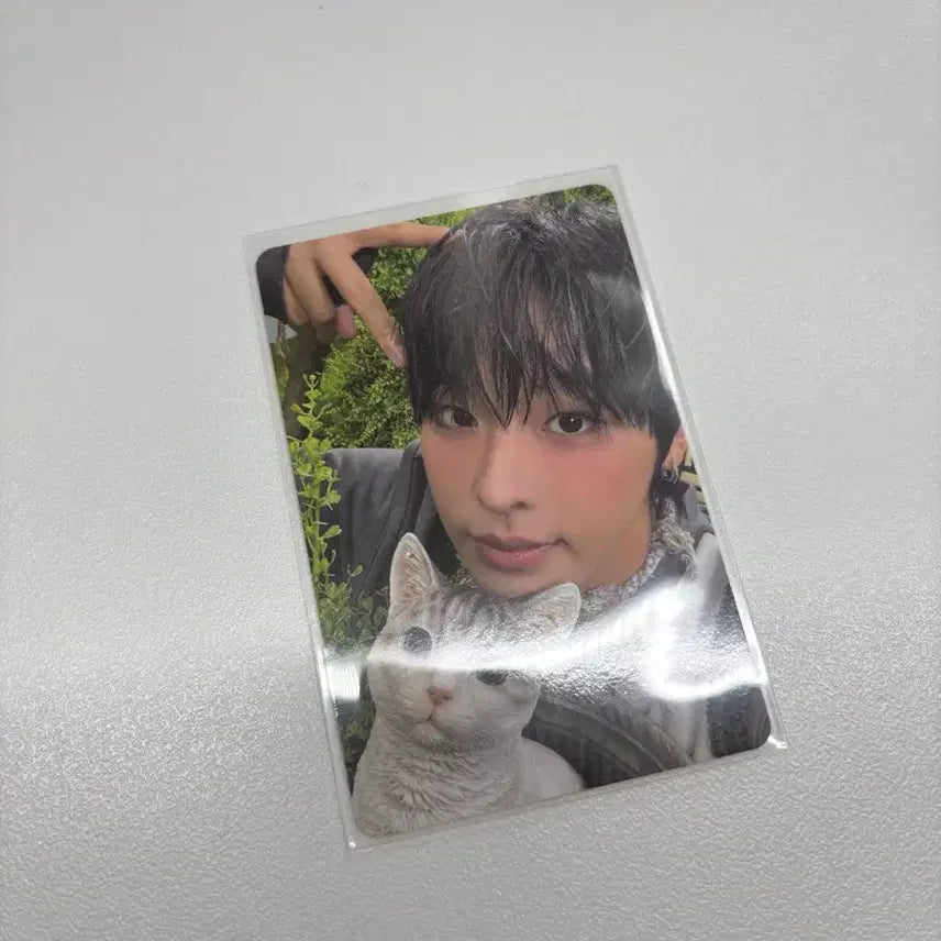 엔시티위시 리쿠 컬러 쥬얼 포카