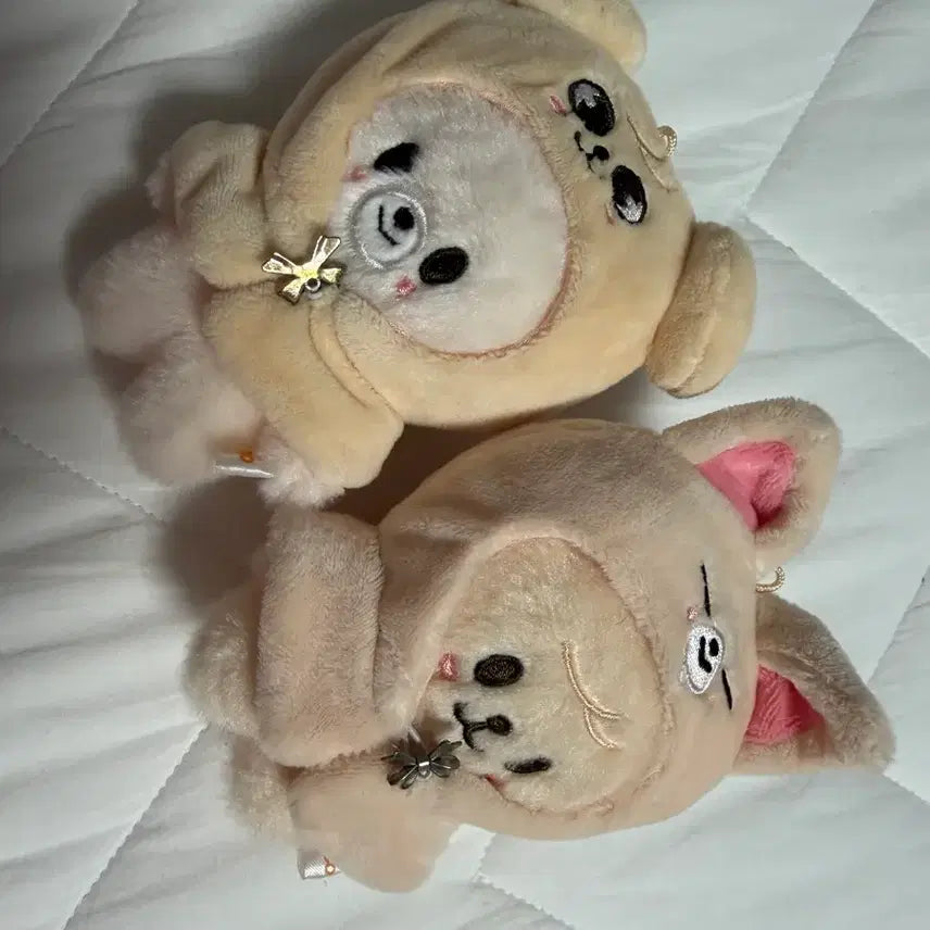 스키주 폭시니 퍼핌 아웃핏