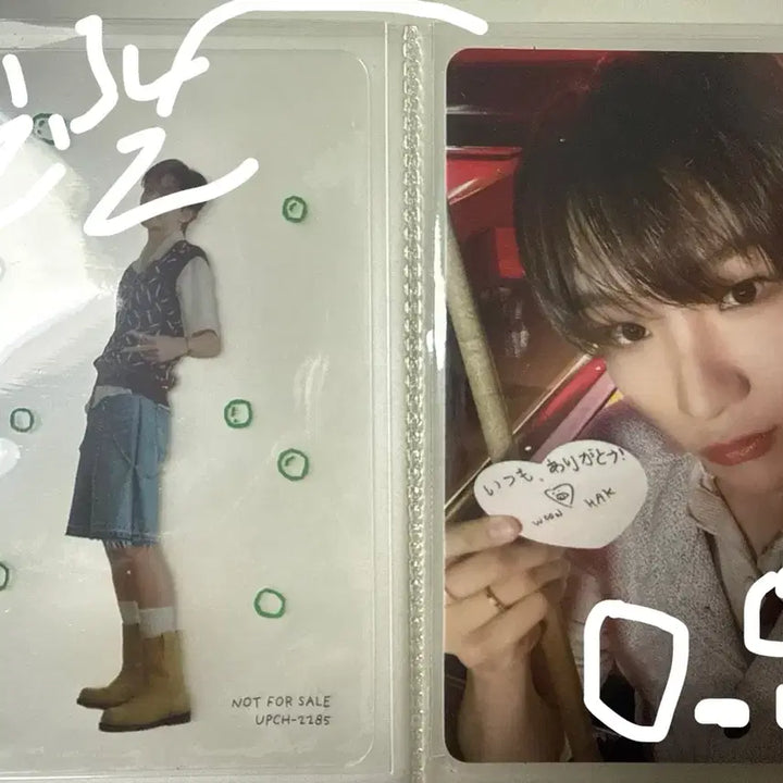 보이라이브 보넥도 포카 팔아요