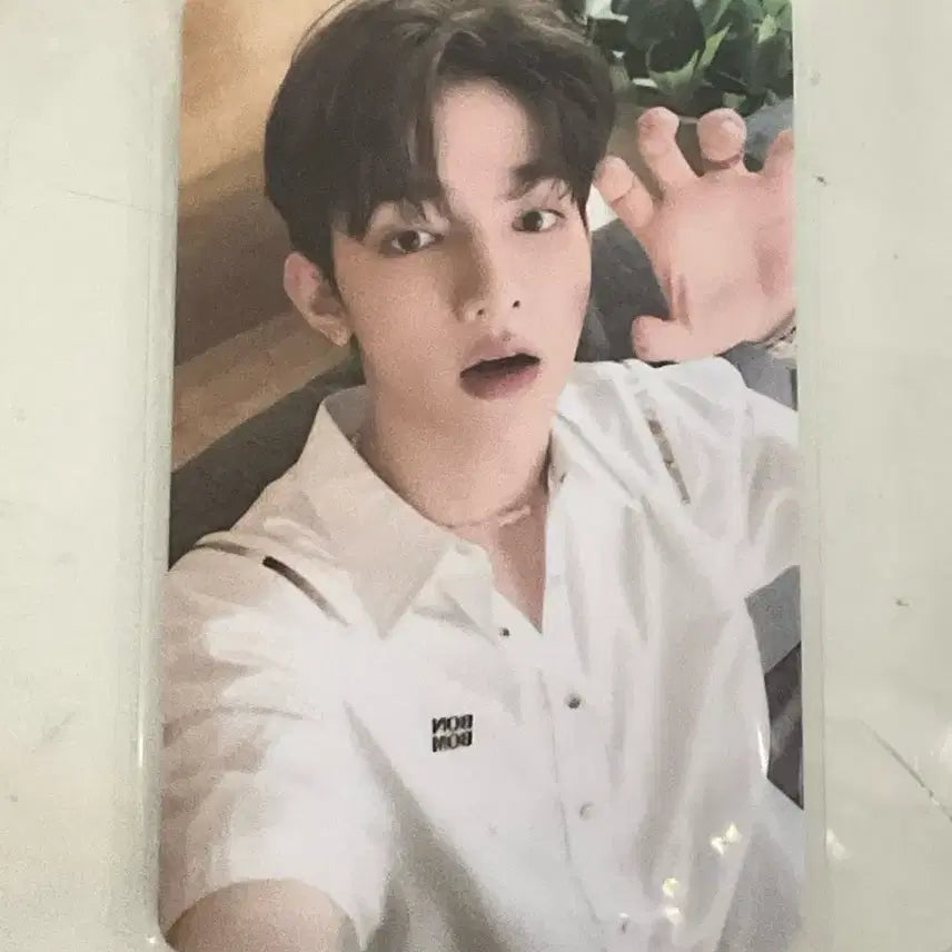 제로베이스원 장하오 클린 포카