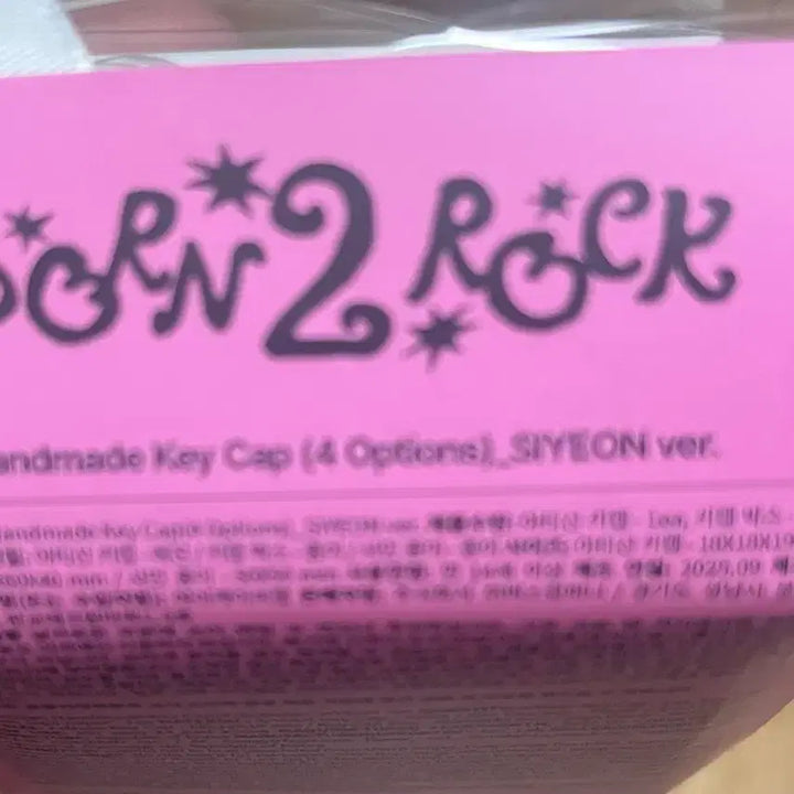 [BUNJANG] QWER Artisan 2nd Anniversary Demo Keycap Sealed / QWER 2주년 아티산 키캡 시연 ver 미개봉 판매