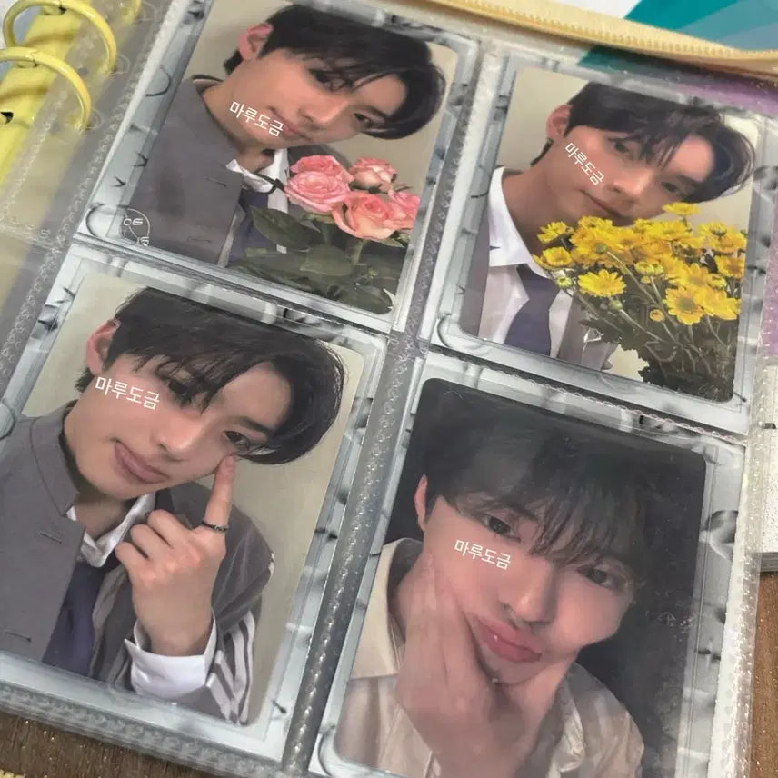 일괄 2에 양도해요 정상현 포카