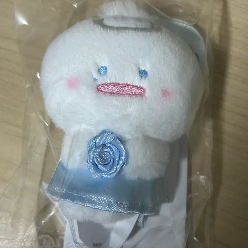 엔젤 제로니 태니니 양도