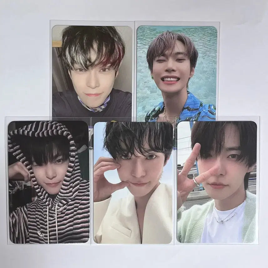 도영 포카 일괄 양도