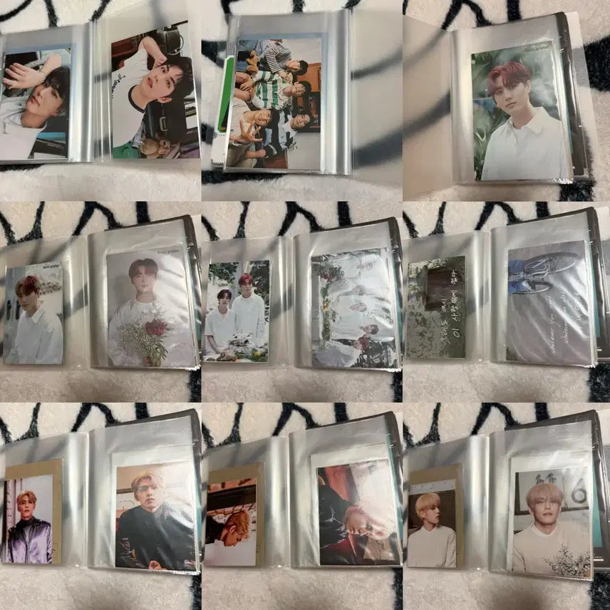 데이식스 포카, 엽서 일괄