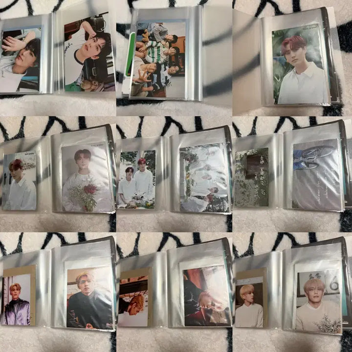 데이식스 포카, 엽서 일괄