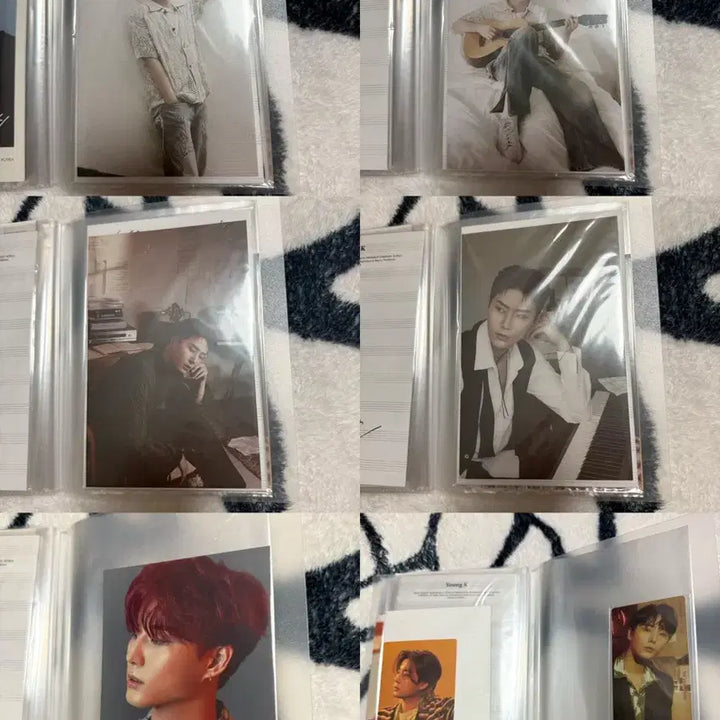 데이식스 포카, 엽서 일괄