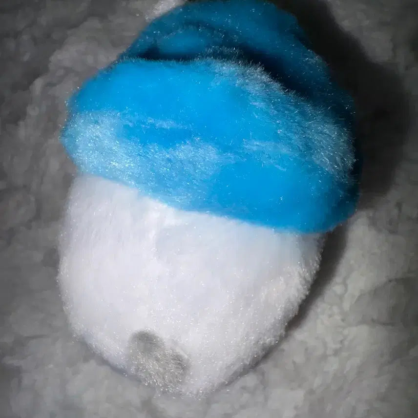 입양증 포함 ) 보넥도 재현 비공식 인형 하우명 판매해요 !