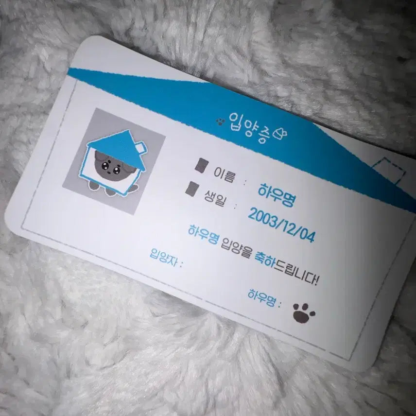 입양증 포함 ) 보넥도 재현 비공식 인형 하우명 판매해요 !