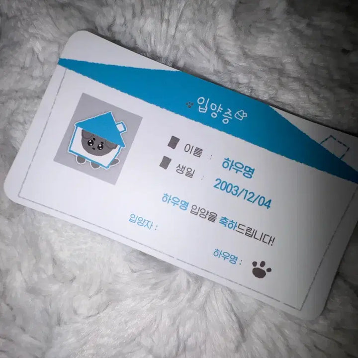 입양증 포함 ) 보넥도 재현 비공식 인형 하우명 판매해요 !