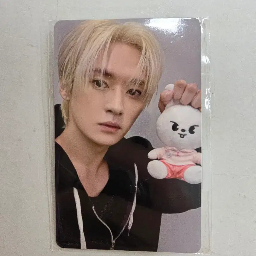 스키주 주토피아 포카 리노 양도 스트레이키즈 팝업