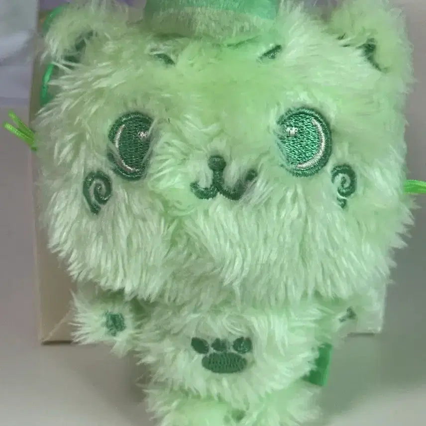 위시돌 쿠리 초롤