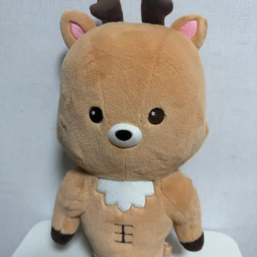 40cm 대왕 우락밤 판매