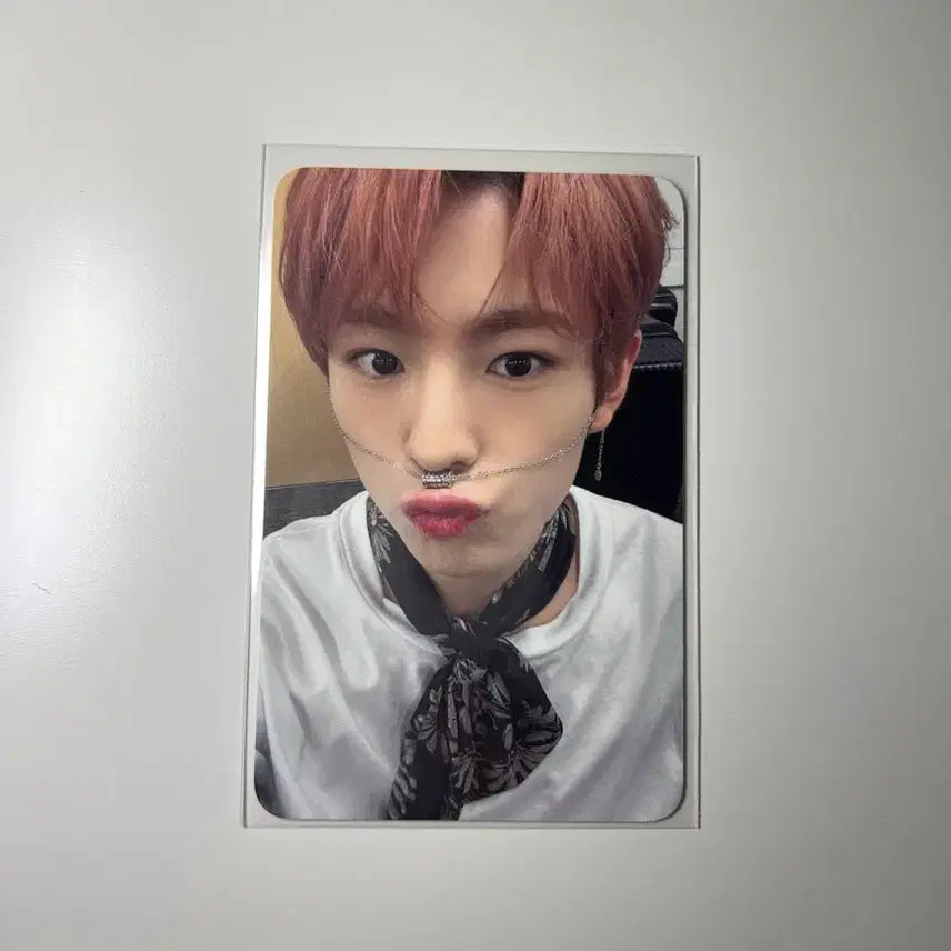 엔시티위시 유우시 2024 생일 엠디 포카 양도