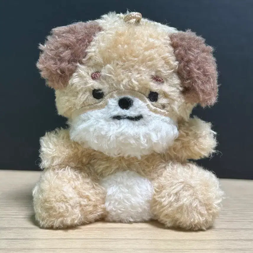 데이식스 데니멀즈 시팅 돈 Day6 sitting don