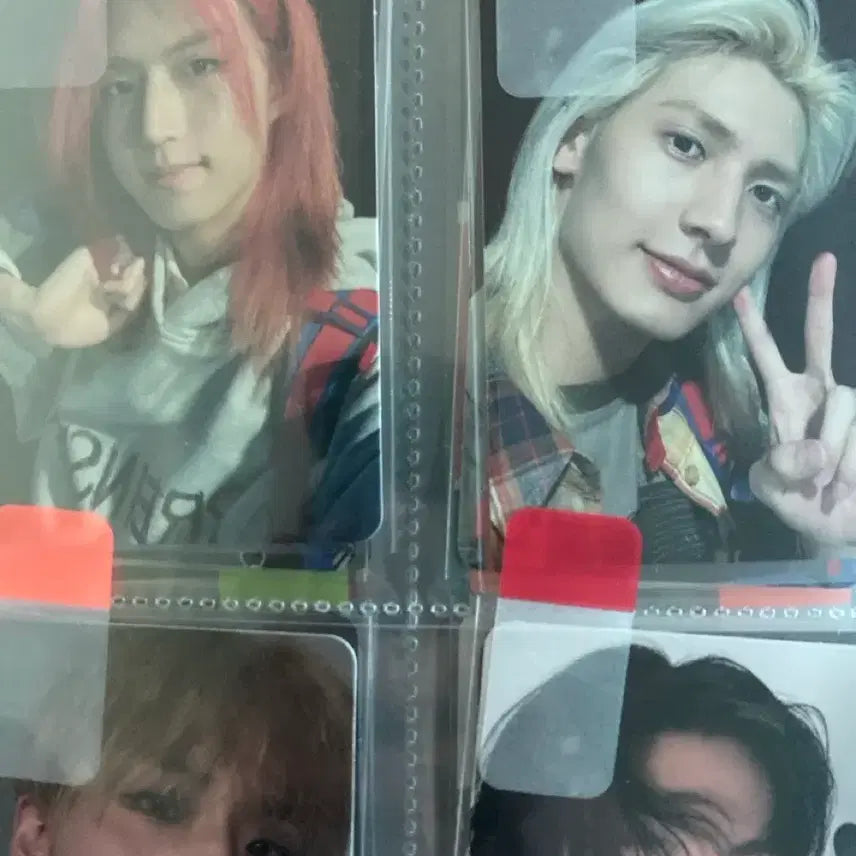 엑디즈 뷰마 막콘 입장포카