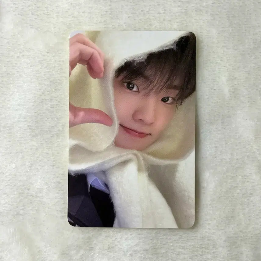 더보이즈 큐 에버라인 포근목도리 a;effect 미공포 분철 양도