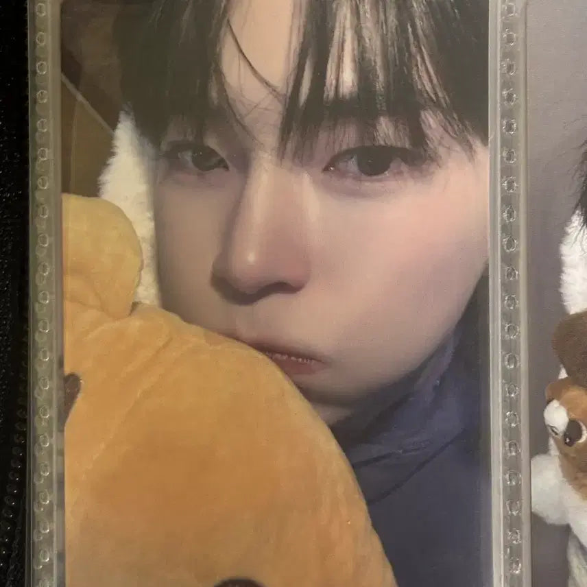 제로베이스원 성한빈 애플뮤직 멜팅포인트 붕어빵 포카 양도