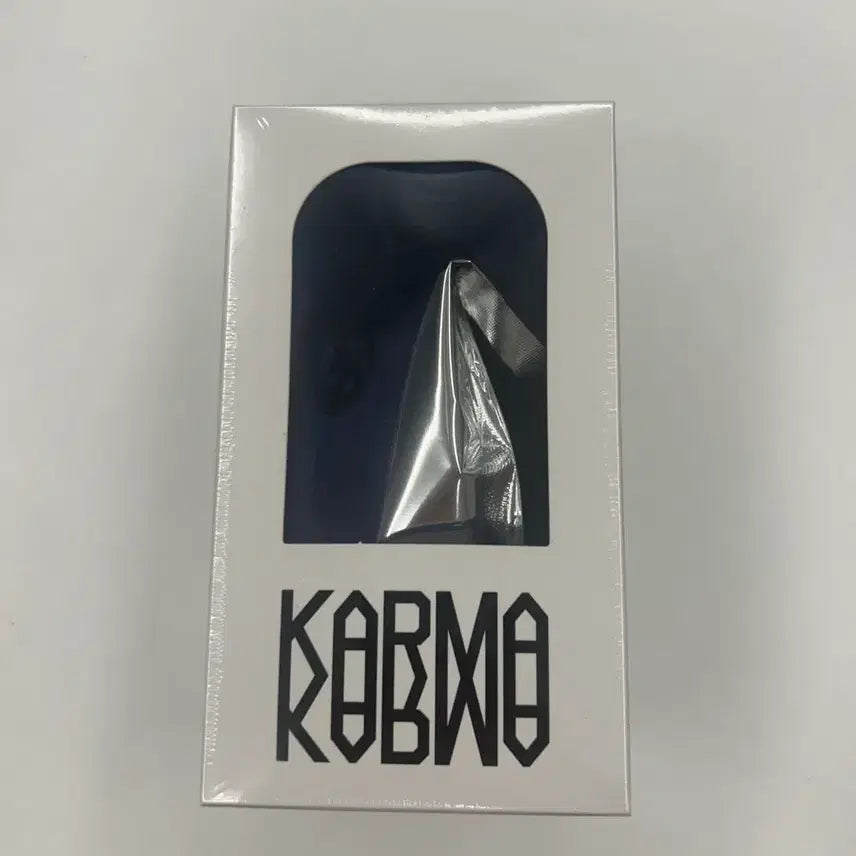 skzoo 버전 스트레이키즈 카르마 스키주 랜덤