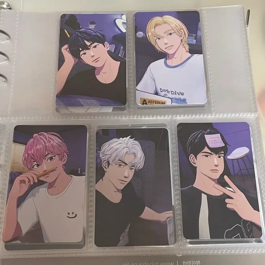 플레이브 2025 시그 포카