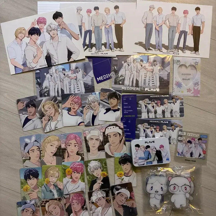 플레이브 메디힐 일괄
