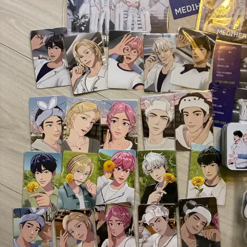 플레이브 메디힐 일괄