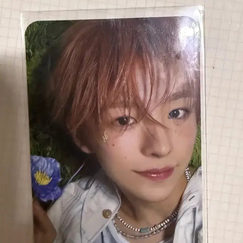 NCT WISH 유우시 송버드 하타치 포카