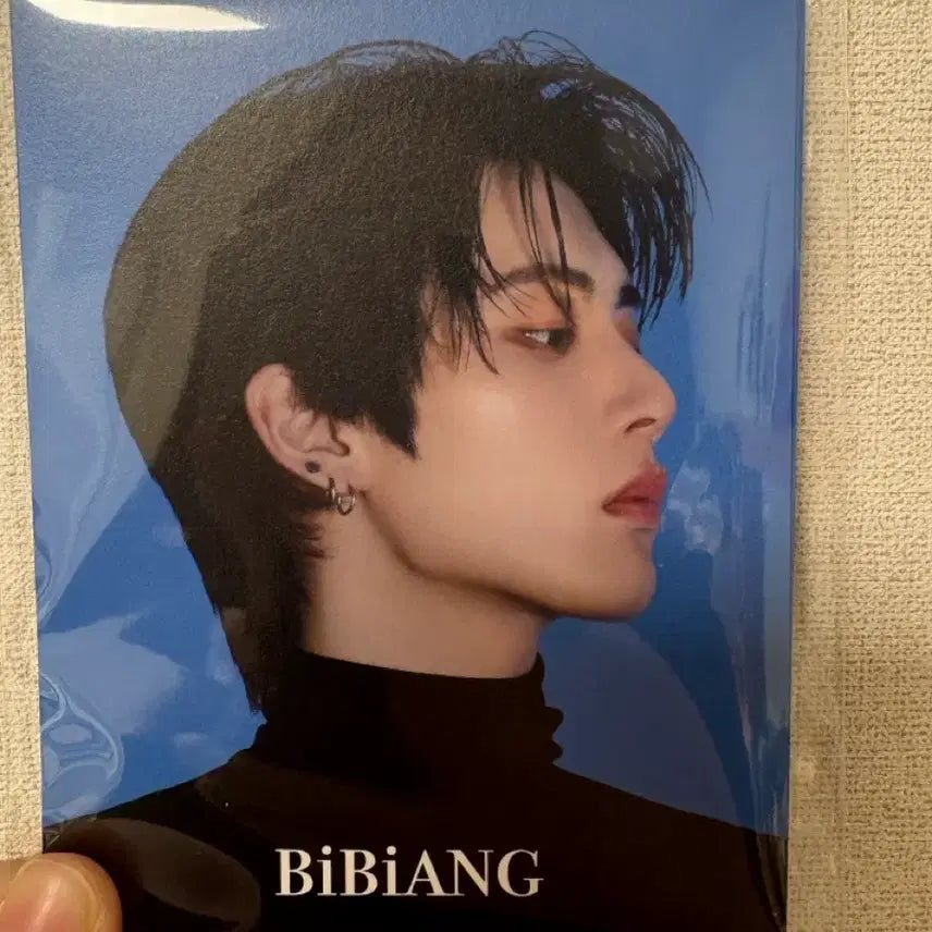 비비앙 보넥도 포스트카드 일괄