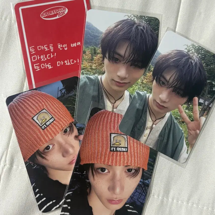 보넥도 시그 태산 포카 양도